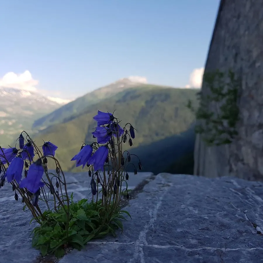 Hotel-Chalet Les Melezes Valloire